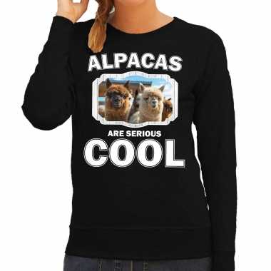 Dieren alpaca trui zwart dames alpacas are cool trui