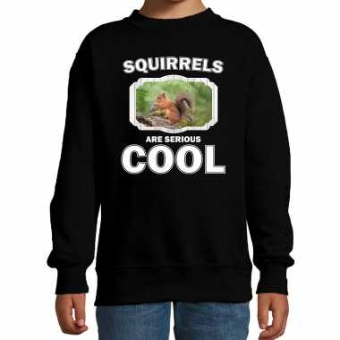Dieren eekhoorntje trui zwart kinderen squirrels are cool trui jongens meisjes