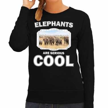 Dieren olifant trui zwart dames elephants are cool trui kudde olifanten