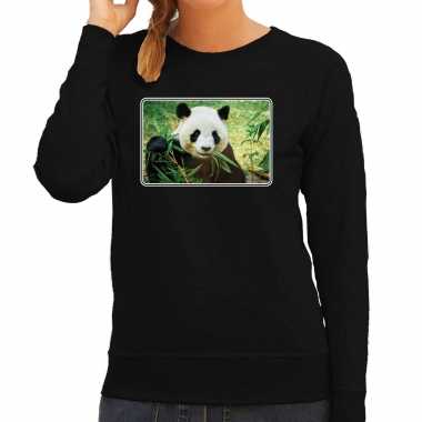 Dieren trui / trui pandaberen foto zwart dames