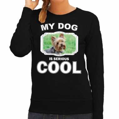 Yorkshire terrier honden trui / trui my cat is serious cool zwart dames