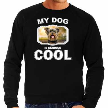 Yorkshire terrier honden trui / trui my dog is serious cool zwart heren