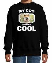 Akita inu honden trui trui my dog is serious cool zwart kinderen