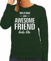 Awesome friend vriend cadeau trui groen dames