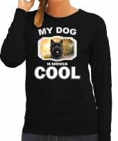 Cairn terrier honden trui trui my dog is serious cool zwart dames