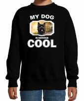 Cairn terrier honden trui trui my dog is serious cool zwart kinderen 10256705