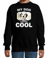 Dalmatier honden trui trui my dog is serious cool zwart kinderen 10256692