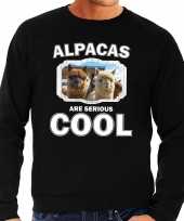 Dieren alpaca trui zwart heren alpacas are cool trui