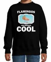 Dieren flamingo trui zwart kinderen flamingos are cool trui jongens meisjes