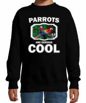 Dieren papegaai trui zwart kinderen parrots are cool trui jongens meisjes