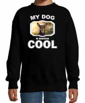 Dwergpinscher honden trui trui my dog is serious cool zwart kinderen 10256701