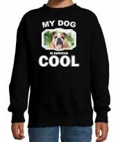 Engelse bulldog honden trui trui my dog is serious cool zwart kinderen