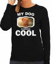 Franse mastiff honden trui trui my dog is serious cool zwart dames