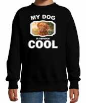 Franse mastiff honden trui trui my dog is serious cool zwart kinderen 10256704