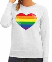 Gay pride regenboog hart trui grijs dames