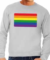 Gay pride regenboog vlag trui grijs heren