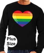 Grote maten gay pride regenboog hart trui zwart heren