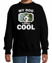 Husky honden trui trui my dog is serious cool zwart kinderen 10256708