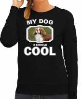 Spaniel honden trui trui my dog is serious cool zwart dames 10256676