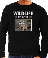 Wolf trui trui dieren foto wildlife of the world zwart heren
