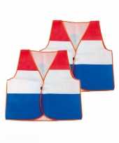 X stuks nederland supporter truijes 10288452