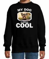 Yorkshire terrier honden trui trui my dog is serious cool zwart kinderen 10256694