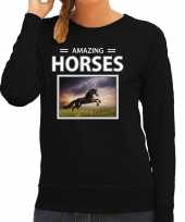Zwarte paarden trui trui dieren foto amazing horses zwart dames